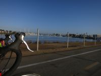 Marina-Del-Rey_02