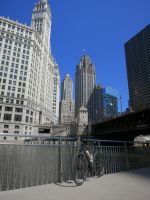 Chicago_2015_Pedal-3_77