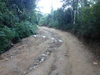 04_Caminho-de-Darwin-rua-caete_02